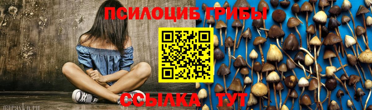 Псилоцибиновые грибы Magic Shrooms Губкин